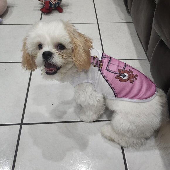 6 Pack Dog Clothes for Small Dogs Boy and Girl Outfits - Picture 4 of 10